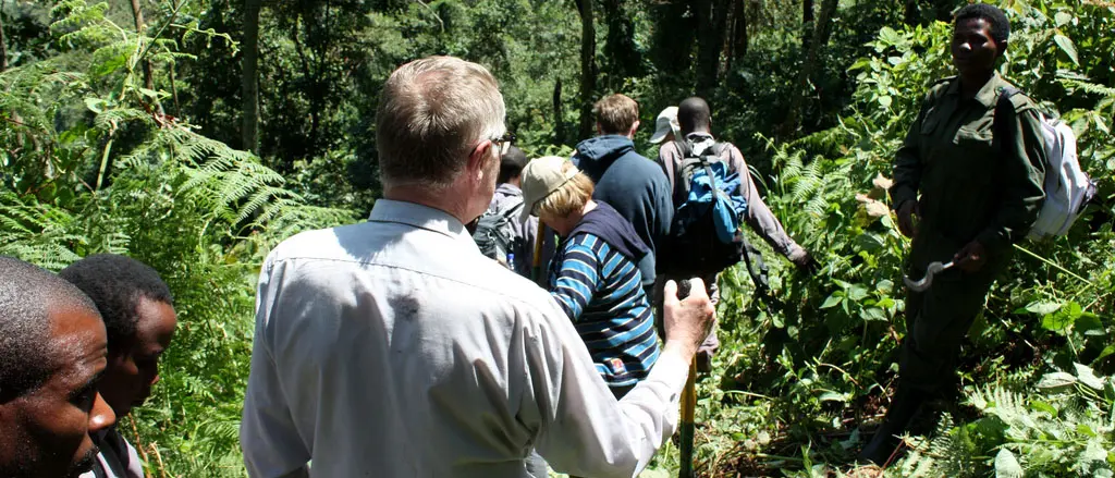 Gorilla trekking