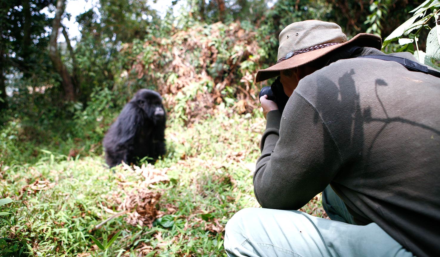 Travel Insurance for Gorilla Trekkers