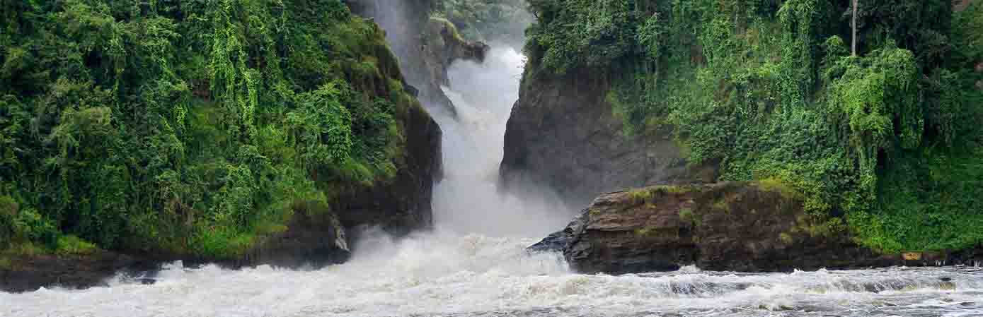 12 Days Uganda Wildlife and Gorilla Safari