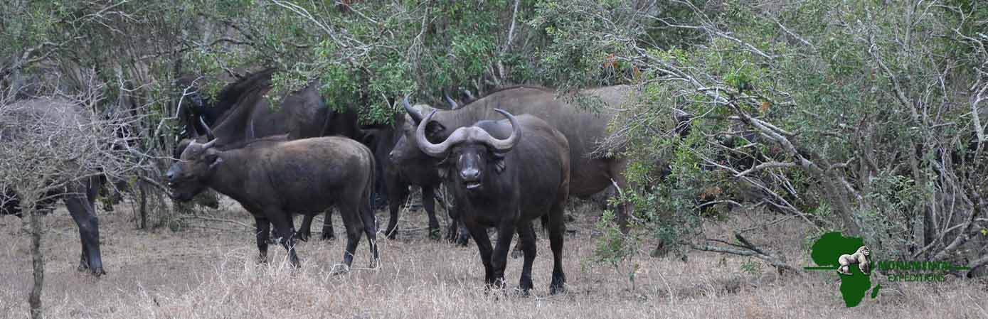3 Day Samburu National Reserve Safari