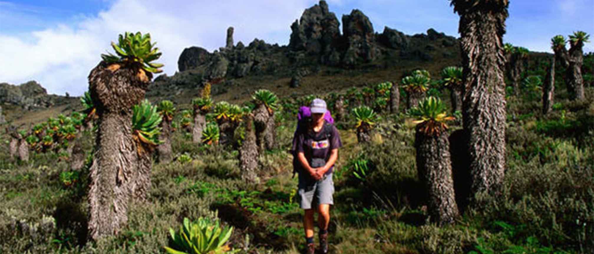 Activities at Mount Elgon National Park