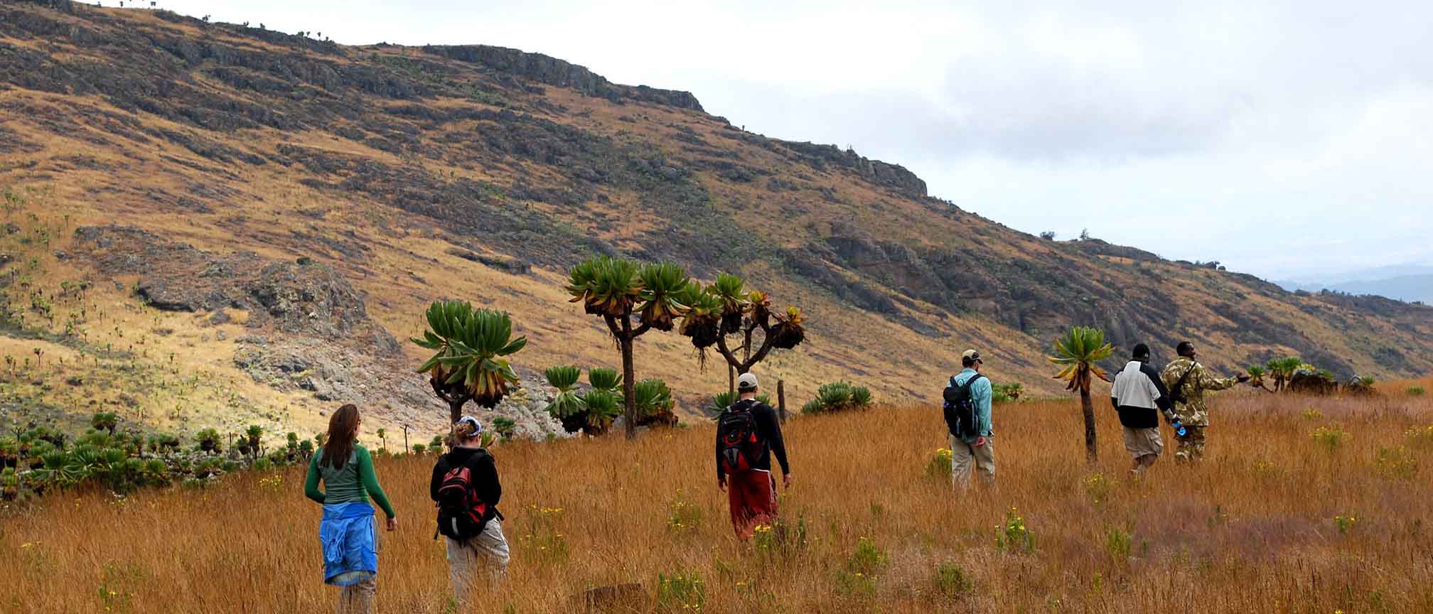 Elgon hiking