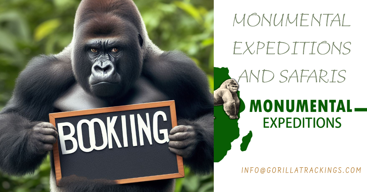 Bwindi Gorilla Safari Bookings