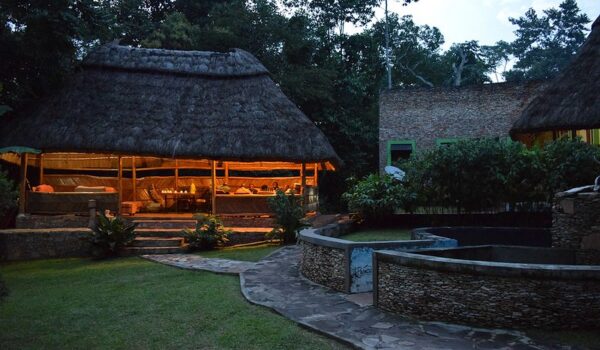 The Best Budget-Friendly Lodges And Camps For Gorilla Trekking In Uganda