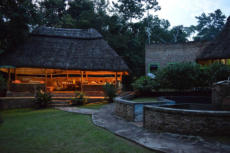 The Best Budget-Friendly Lodges And Camps For Gorilla Trekking In Uganda