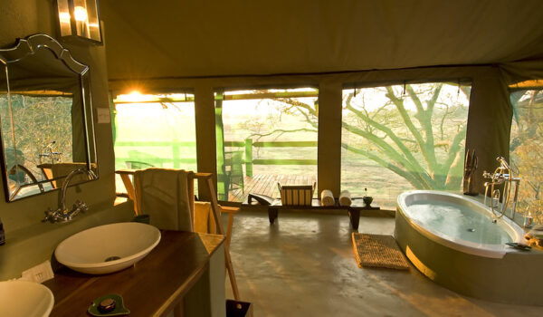 10 Best-value Luxury Zambia Safari Lodges & Camps