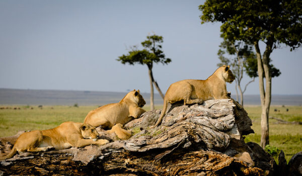 10 Most Beautiful & Interesting Places To Visit In Kenya