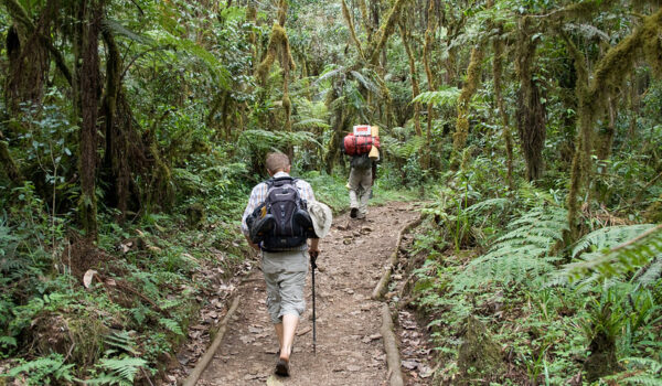 Can You Climb Kilimanjaro Without A Guide