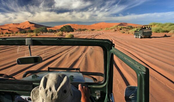 Guide To Driving In Namibia 10 Useful Self-drive Tips
