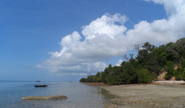 Guide To Visiting Mafia Island (Tanzania) – All You Need To Know