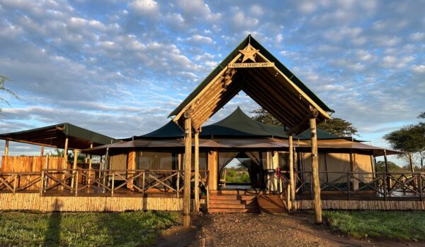 10 Best-value Luxury Serengeti Safari Lodges & Camps