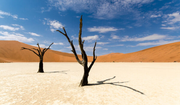 Planning A Trip To Visit Deadvlei In Namibia