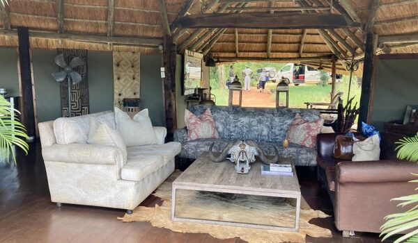 Top 10 Best Luxury Hwange Safari Lodges & Camps