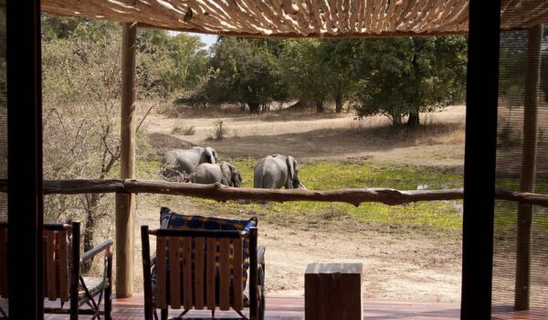 Top 10 Best South Luangwa Luxury Safari Lodges & Camps