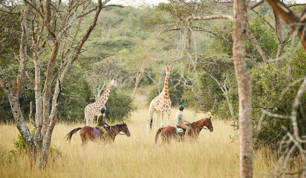 10 Top Activities While On Safari