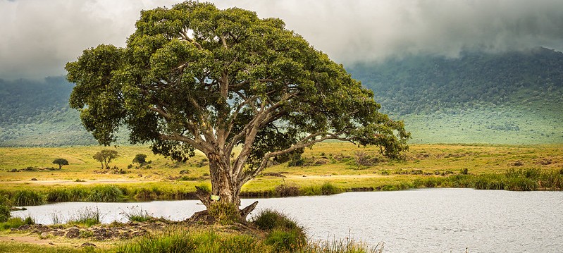 17-Day Top Destinations in Kenya, Tanzania and Uganda