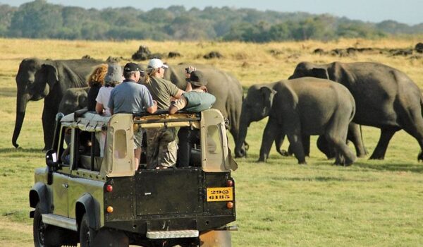 5 Best Family-friendly Safaris In South Africa
