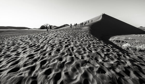 6 Best Places To Go In Namibia - Top Namibian Safari Highlights