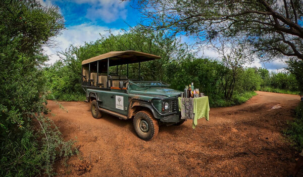 6 Tips For An Eco-Safari In Africa Eco-Friendly Travel Ideas
