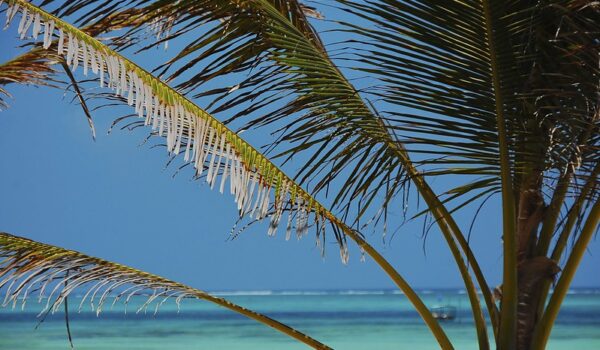 AFRICA BUCKET LIST BEST THINGS TO DO IN EAST AFRICA