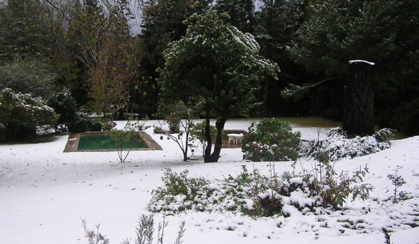 Hogsback - Tolkien’s Middle Earth In The Amathole Mountains Of South Africa