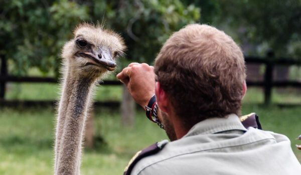 Moholoholo Wildlife Rehabilitation Centre