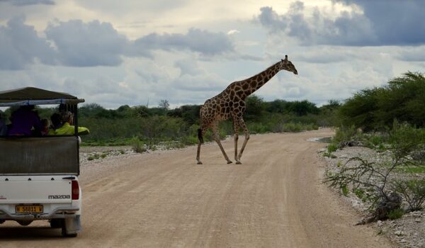 Size Up Africa Overland Safaris - Small Vs Big
