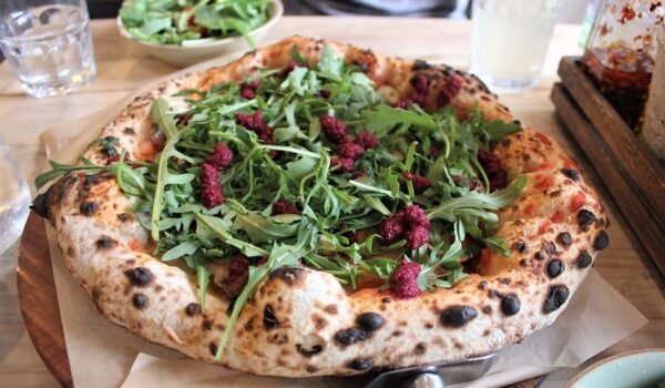 The Vegetarian Guide To African Safaris Top Tips For Vegetarians On Safari