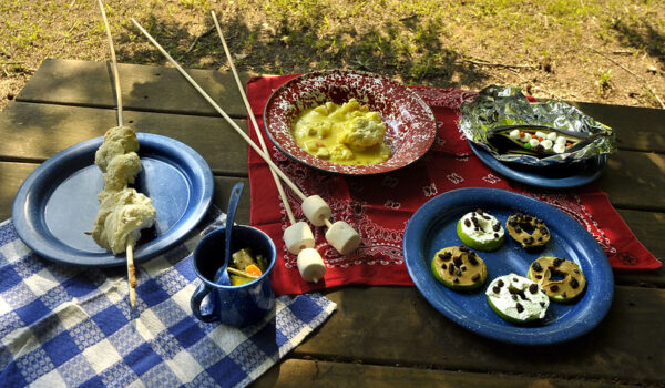 Tips For Delicious Camping Cuisine On African Safaris