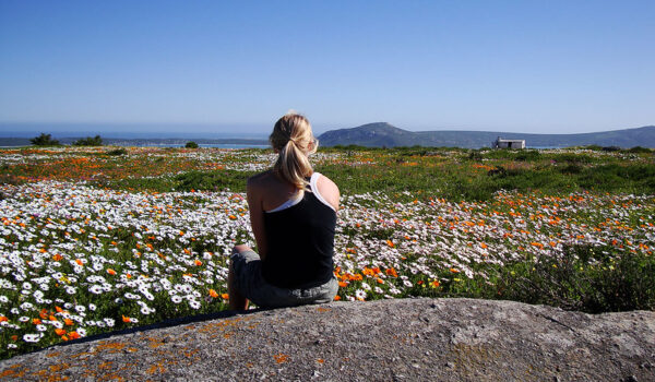 Visit The West Coast National Park To See Wildflowers In Spring