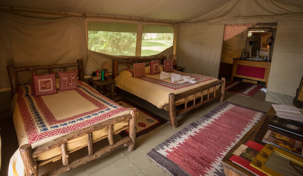 What Are Exclusive Camping Safaris Small Group Tours Explained