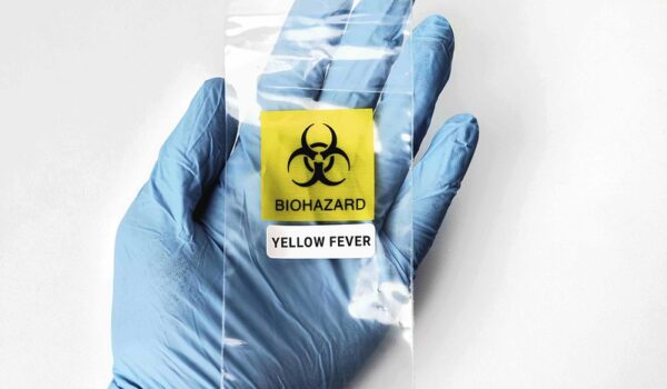 Yellow Fever Facts You Need To Know For Safe African Safaris