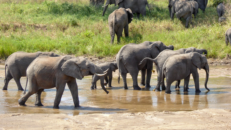 13 Days Kenya and Tanzania Combined