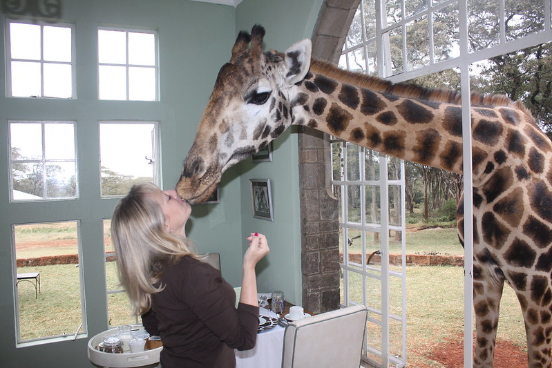 Giraffe Manor, Breakfast with Giraffes