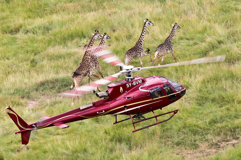 Helicopter Safaris Kenya