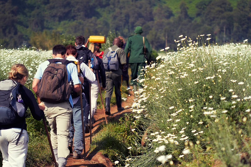 Rwanda Volcano Climbing