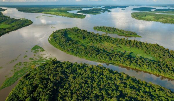 10 Days Pygmy And Congo River Tour