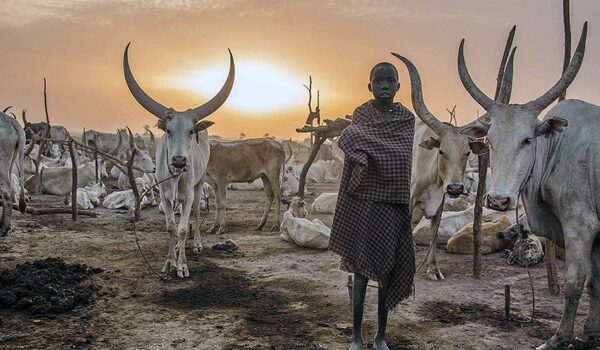 10 Days Uganda South Sudan Tour