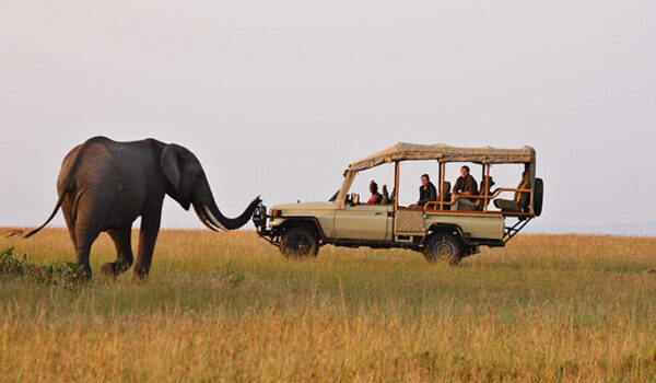 3 Days Masai Mara Itinerary