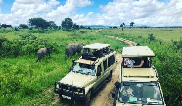 3 Days Mikumi National Park Safari