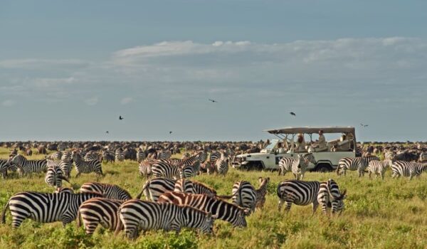8-Day Soul Of Tanzania Luxury Tour