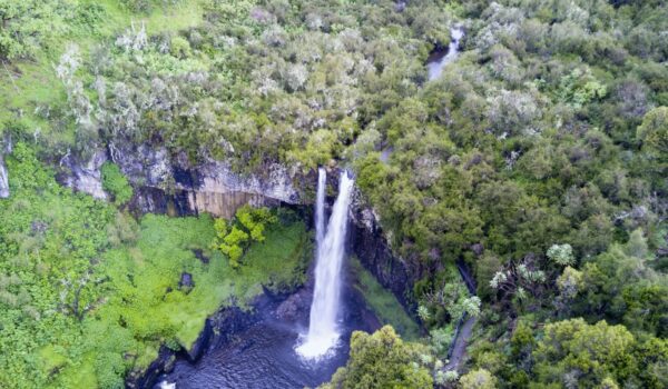 Aberdare National Park