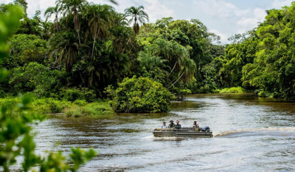 17 Days Congo River Tour Itinerary