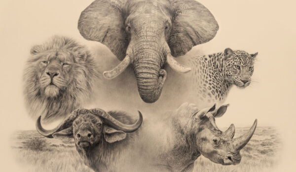 Faits époustouflants Sur Les Big Five D'Afrique