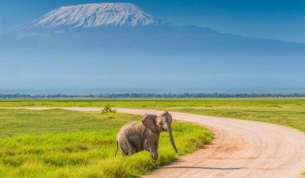 How To Get To Amboseli National Park