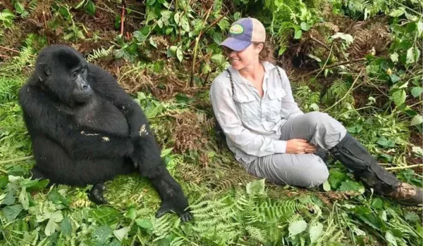 Is Gorilla Trekking Safe?