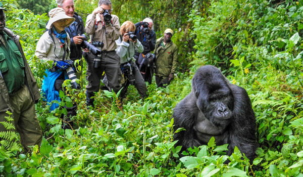 Is Uganda Safe To Visit In 2025?