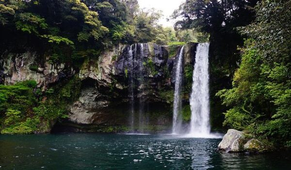 Isumo Trail In Nyungwe Forest National Park