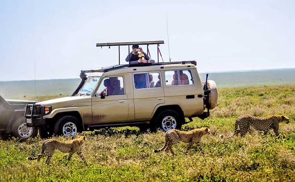 Kenya self-drive safari vehicle rentals