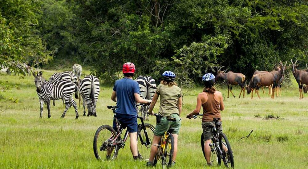 Lake Mburo National Park